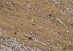 2011-04-24_Regina-F-Rau_Brunnstein-Spitze (217).JPG